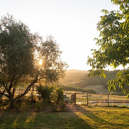 Agriturismo Le Tre Pietre - Podere Nel Chianti Quercegrossa エクステリア 写真