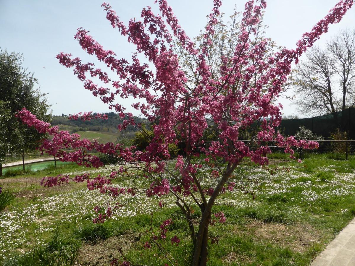 Agriturismo Le Tre Pietre - Podere Nel Chianti Quercegrossa エクステリア 写真