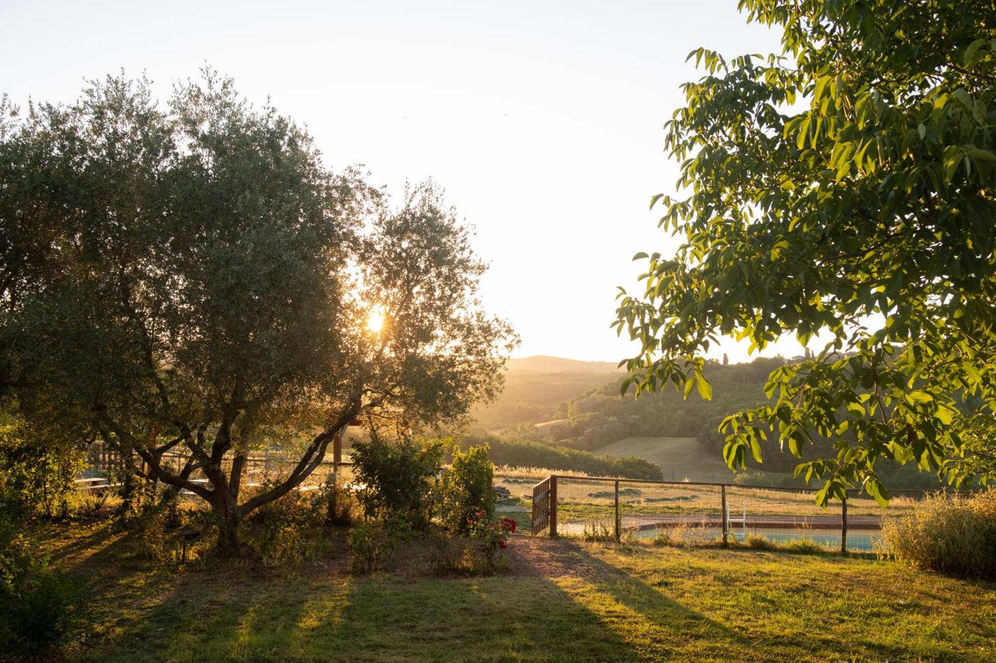 Agriturismo Le Tre Pietre - Podere Nel Chianti Quercegrossa エクステリア 写真