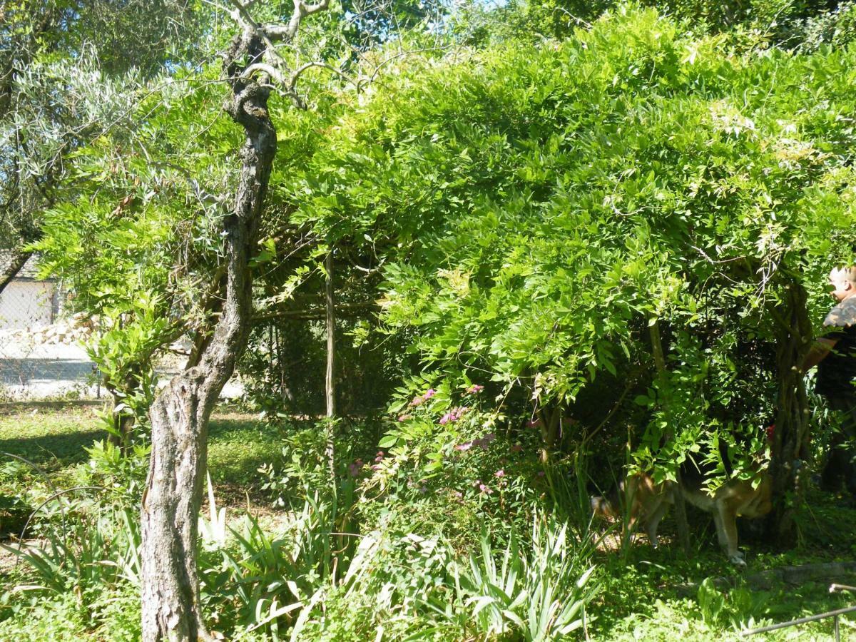 Agriturismo Le Tre Pietre - Podere Nel Chianti Quercegrossa エクステリア 写真